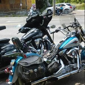 Meet your Posher, Warren